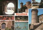 PELUSSIN LA HALLE LE CHATEAU LA PISCINE LA PORTE DE LA CHAPELLE - Pelussin