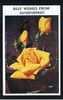 Superb Novelty Pull-Out Postcard Haverfordwest & Pembrokeshire Wales With Roses Flower Theme - Ref 276 - Pembrokeshire