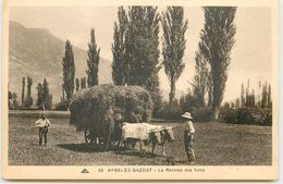 DEP 65 ARGELES GAZOT  BELLE CARTE LA RENTREE DES FOINS AVEC DES BOEUFS - Argeles Gazost