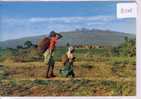 - KENYA - AFRICAN VILLAGE AT FOOT (B102) - Kenia