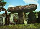 CPSM.  DRAGUIGNAN. DOLMEN DANS LES ENVIRONS DE DRAGUIGNAN. "PIERRE DE LA FEE". DATEE 1973. - Draguignan