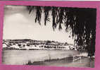 CARTE 1950 PONT SUR YONNE - VUE GENERALE DES BORDS - Pont Sur Yonne