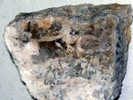 FLUORINE LEGER JAUNE (cube 1,7 Cm) Sur BARYTINE  6,5 X 5,7 Cm   JOSAT - Minéraux