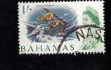 Bahamas - Sea Garden - Scott # 213 - Bahamas (1973-...)