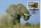CARTE MAXIMUM OUGANDA 1983 SERIE WWF ELEPHANT MODELE 1 - Eléphants