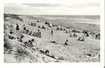 CPSM Noir Et Blanc BRETIGNOLLES SUR MER  La Plage Des Dunes - Bretignolles Sur Mer