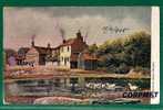UK - RUNTON Near CROMER - 1905 POSTCARD Sent To BUENOS AIRES - Other & Unclassified