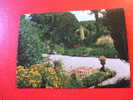 CPM -ANGLETERRE-TRESCO GARDENS SCILLY.CARTE EN BON ETAT. - Sonstige & Ohne Zuordnung