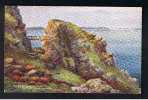 1931 J. Salmon Postcard Moie De Mouton Sark Channel Islands Good Postmark - Ref 280 - Sark