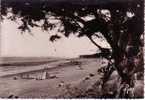 44 - Saint-Brevin Les Pins - La Plage Vers Mindin - Saint-Brevin-les-Pins