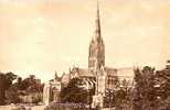 SALISBURY CATHEDRAL .S.E. - Salisbury