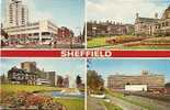 SHEFFIELD. - Sheffield