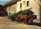 CPSM.  LE RETOUR DE L'ATTELAGE A LA FERME. - Attelages