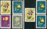 ● BULGARIA  -  Rep. Pop. - 1963   - FIORI - N.  1208 . . . .   Usati   -  330 /31 - Used Stamps