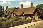 ANNE HATHAWAY'S COTTAGE .SHOTTERY . STRATFORD-UPON-AVON. - Stratford Upon Avon