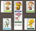 Bulgaria 1987 Edible Fungi (**) MNH - Nuevos