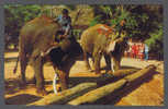 Thailand PPC Two Elephants Push Timbers With Trunk (2 Scans) - Elephants