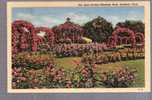 Connecticut - The Rose Garden, Elizabeth Park, Hartford - Postmarked 1944 - Otros & Sin Clasificación