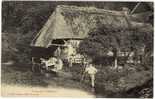 Carte Postale Ancienne Orbec - Source De La Folletière - Lavoir, Laveuses, Lavandières, Chaumière - Orbec