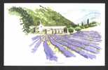 L´ABBAYE De SENANQUE Aquarelle  Alain HUGHES - Acquarelli