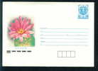 Uco Bulgarien PSE 1989 Pflanzen Und Botanik >  Sukkulenten MAMILARIJA Mint Postal Stationery Envelope/ Ps1829 - Sukkulenten