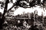 81 / ST SULPICE LA POINTE / LE PONT SUR LES BORDS DE L AGOUT - Saint Sulpice