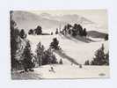 38 - Massif De Chamrousse :pistes Et Vue Sur Taillefer Et Le Trièves - Chamrousse