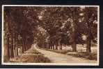 Early Postcard Quakers Walk Devizes Wiltshire - Ref 285 - Sonstige & Ohne Zuordnung