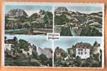 D746 Château De Gruyères. Multi-vues. Carte Récente. Perrochet 606 - Gruyères