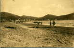 83 - CPA Les Lecques De St-Cyr - La Plage Et La Madrague - Les Lecques