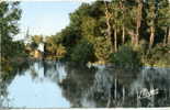 89 - CPSM Brienon-sur-Armançon - Les Bords De L'Armançon - Brienon Sur Armancon