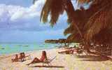 Barbades Barbados - Paradise Beach - Mer Sea - Barbados (Barbuda)