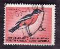 AFRIQUE Du SUD  1961 -  YT  253 Scott  331  -  Shrike  - Oblitéré - Used Stamps