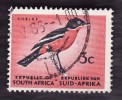 AFRIQUE Du SUD  1961 -  YT  253 Scott  331  -  Shrike  - Oblitéré - Oblitérés