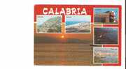 16967)cartolina Illustratoria  Località Della Calabria - Catanzaro