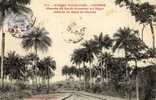 COLLECTION FORTIER N° 711  - AFRIQUE - GUINEE - CHEMIN De FER De KONAKRY Au NIGER Prés De La GARE De KOURIA - Guinea Francese