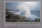 Pounding Surf Along The Ocean Drive - Acadia National Park, Maine - Altri & Non Classificati