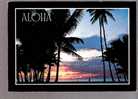 Aloha - Sunset - Waikiki Beach, Hawaii - Autres & Non Classés