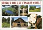 GROSSES BISES DE FRANCHE COMTE - MASSIF DU JURA - Franche-Comté