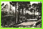 PORTO-VECCHIO (20) - LA POINTE DU DIAMANT - FORÊT DE L´OSPÉDALE - ÉDIT. LA CIGOGNE - CIRCULÉE EN 1957 - - Sartene