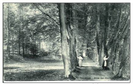 TERVUREN-ALLEE DES CHARMES - Tervuren