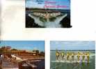 3 Water Ski Postcards - Carte Sur Le Ski Nautique - Sci Nautico