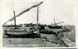 66 CANET PLAGE Bateaux De Pêche Sur La Plage (Barques Catalanes Narbo) - Canet Plage