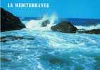 CARTE POSTALE MEDITERRANEE - Andere & Zonder Classificatie