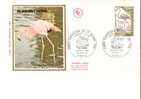 France Fdc / Le Flamant Rose - Flamingo's