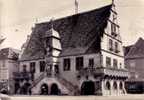 Molsheim - Musee De Metzig - Molsheim