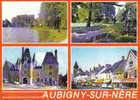 Carte Postale 18.  Aubigny Sur Nere  Bar Tabac "Le Bergerac"  Pêche A L'étang  Trés Beau Plan - Aubigny Sur Nere