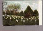 Scene In National Cemetery, Hampton,  Virginia - Sonstige & Ohne Zuordnung