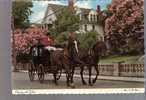 Carriage And Lilacs - Mackinac Island, Michigan - Other & Unclassified