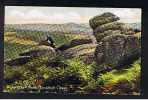 Early Raphael Tuck "Chromette" Postcard Nutcracker Rock Lustleigh Cleave Near Exeter Devon - Ref 291 - Exeter